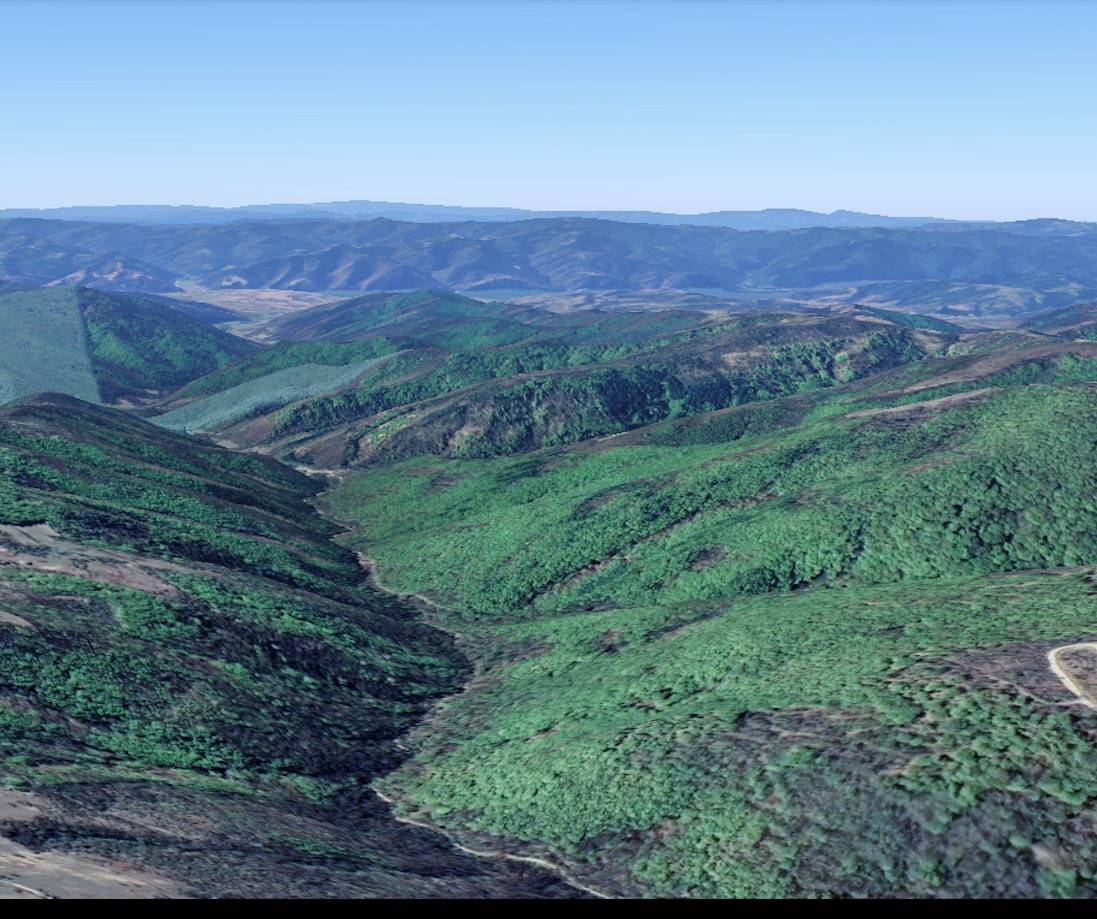 home-1
